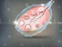 试管婴儿移植后为什么还要打黄体酮针以及服用药物补充黄体酮（孕酮）？做试管婴儿后续要打多久黄体酮？