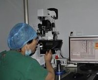 胚胎移植为什么要打立生素？作用有这些！